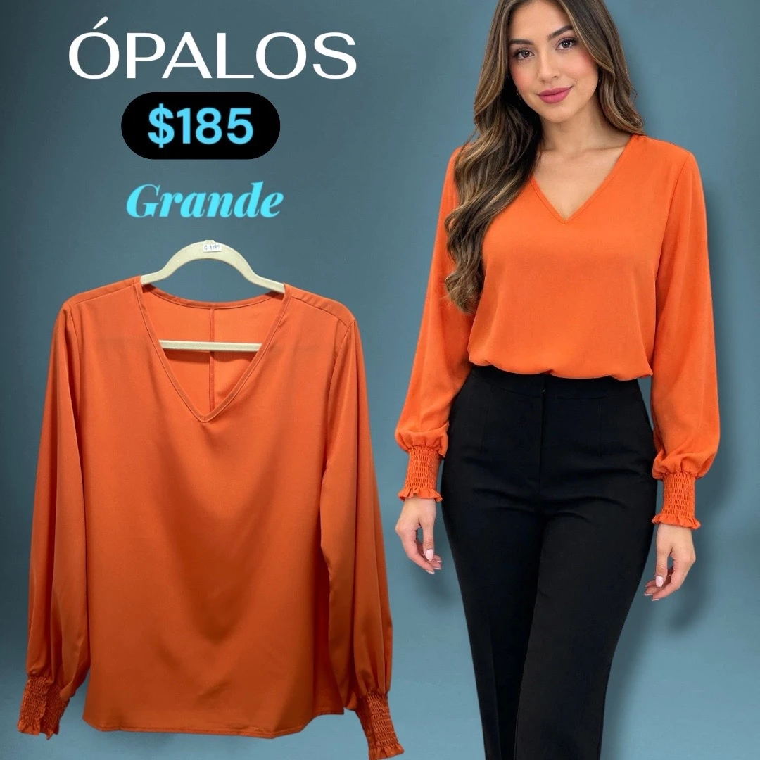 Blusa Vestir