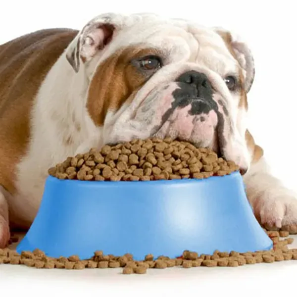 COMIDA / SNACKS