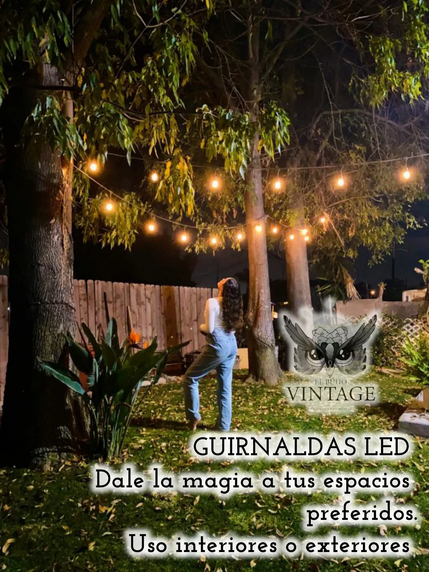 Guirnaldas LED Decorativas Vintage 4w 3