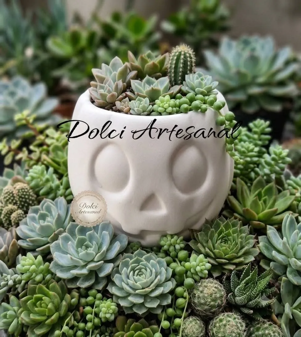 Calabaza dulcero & maceta  2
