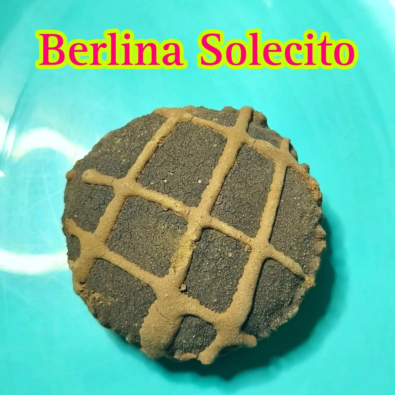 Berlina Solecito