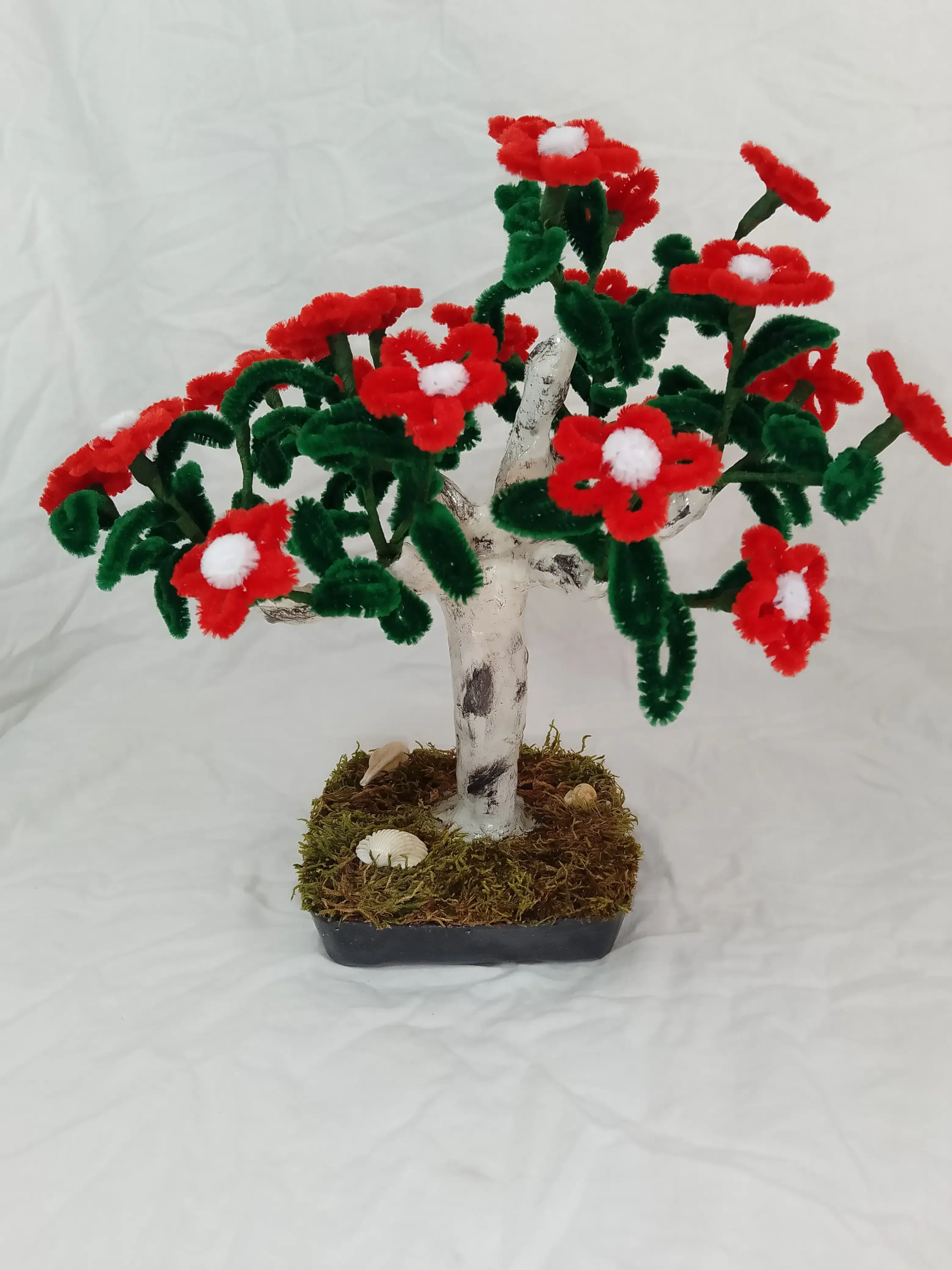 Àrbol Bonsai Margaritas Rojas