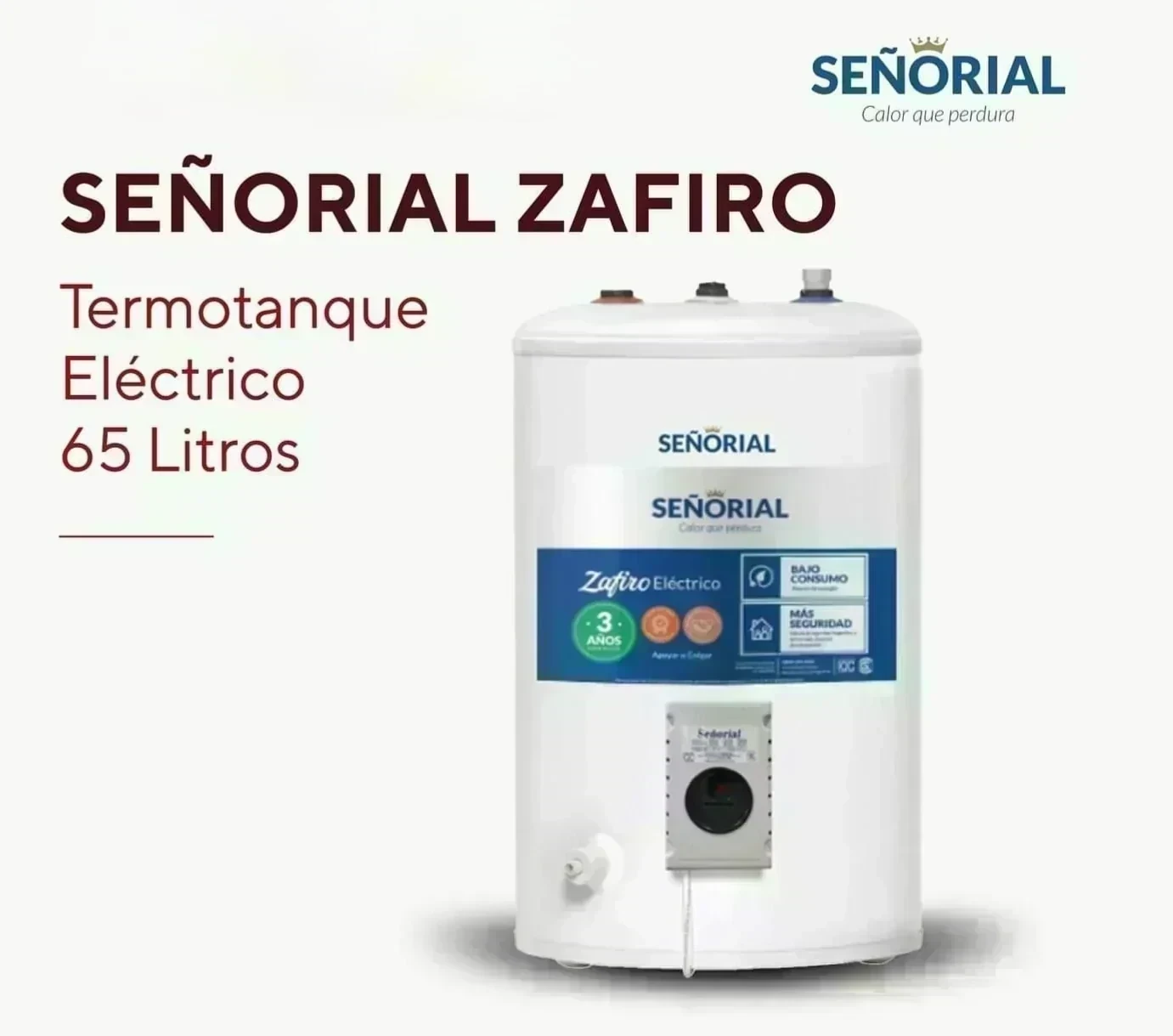 TERMO SEÑORIAL electrico 65L SUPERIOR