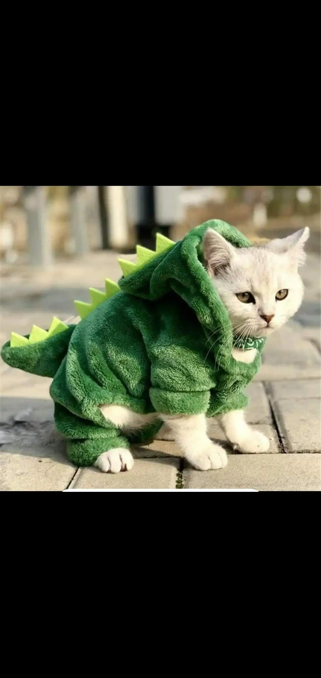 DINOSAURIO