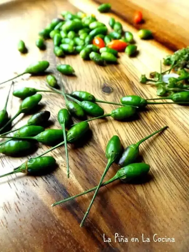 CHILE CHILTEPE/2ONZAS