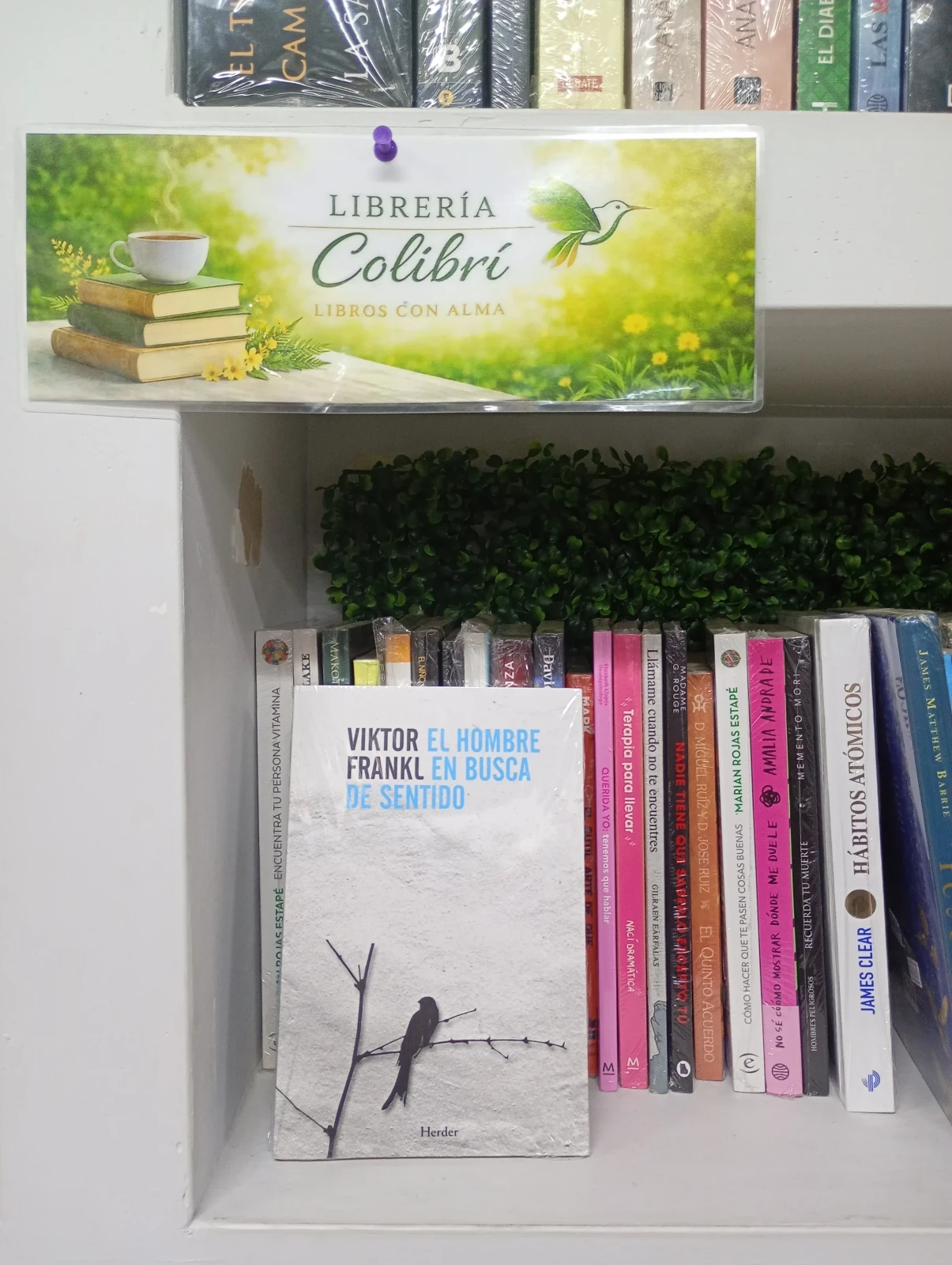 El hombre en busca de sentido 