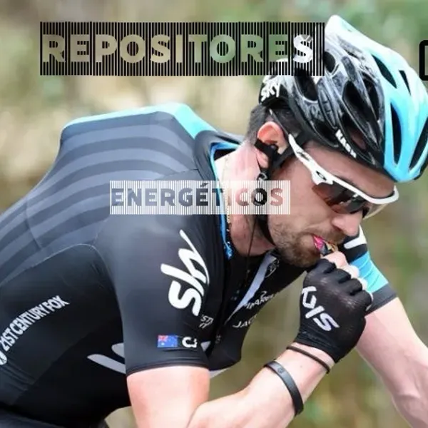 REPOSITORES ENERGÉTICOS