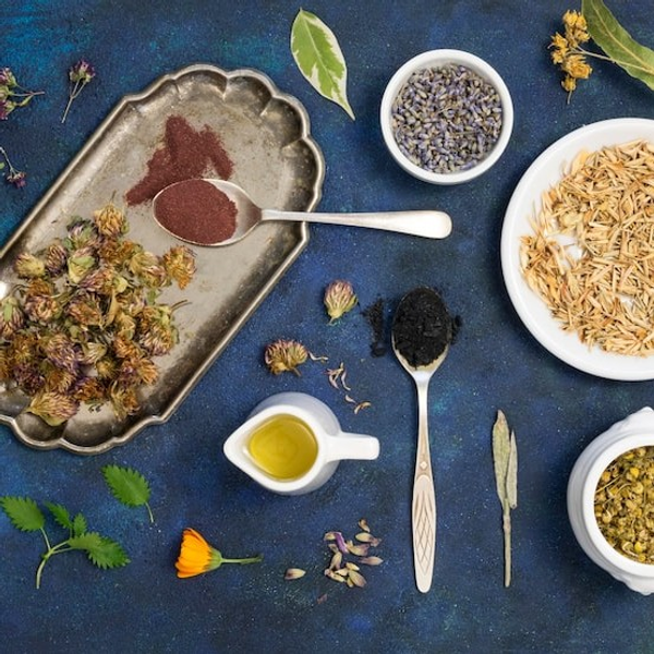 Semillas Hierbas y Aromáticas
