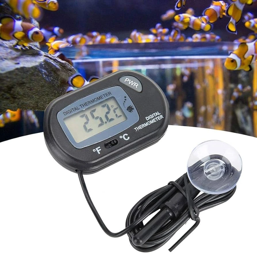 Termómetro Digital Externo en Grados 1.8*13cm Pj-123  2