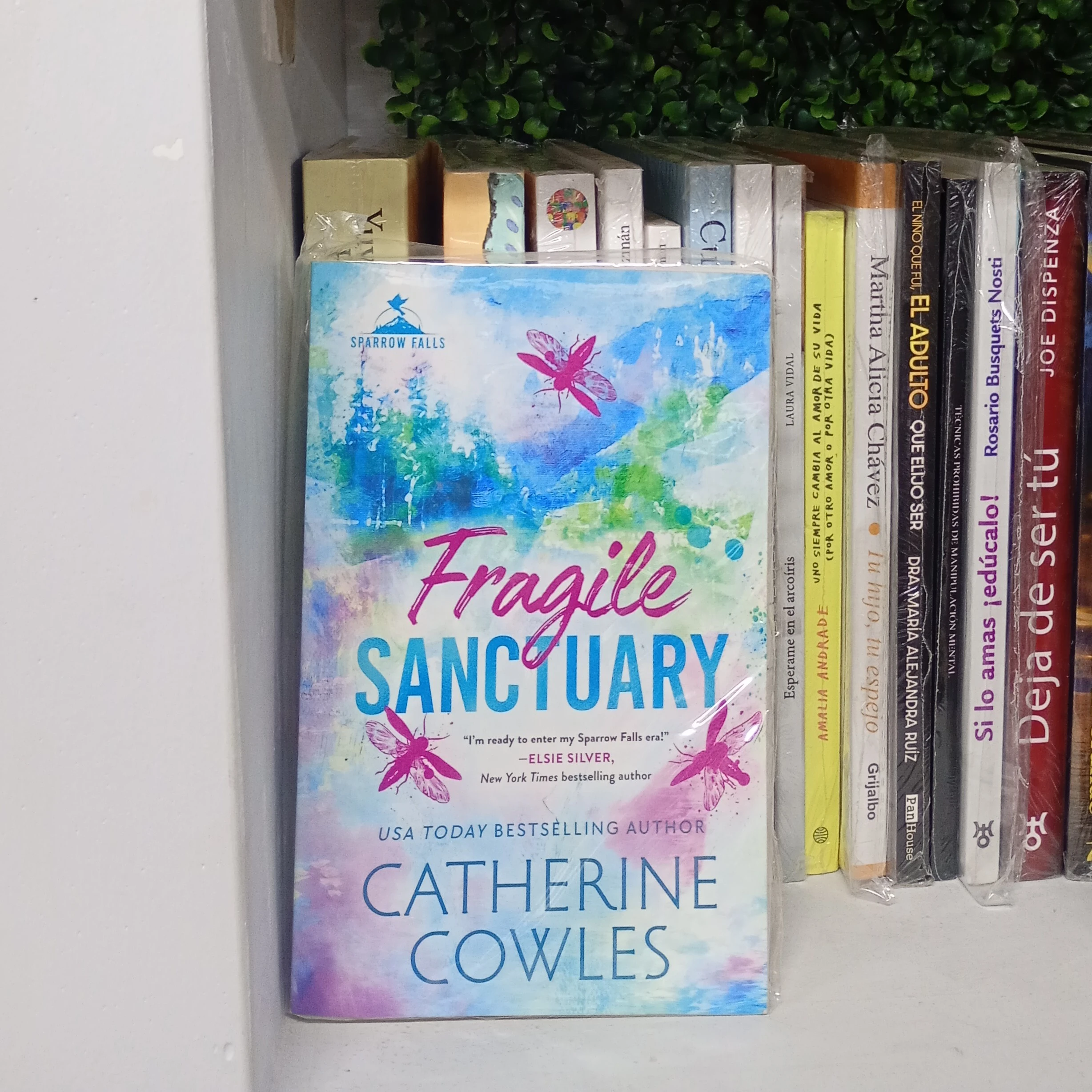 Fragile Sanctuary 2