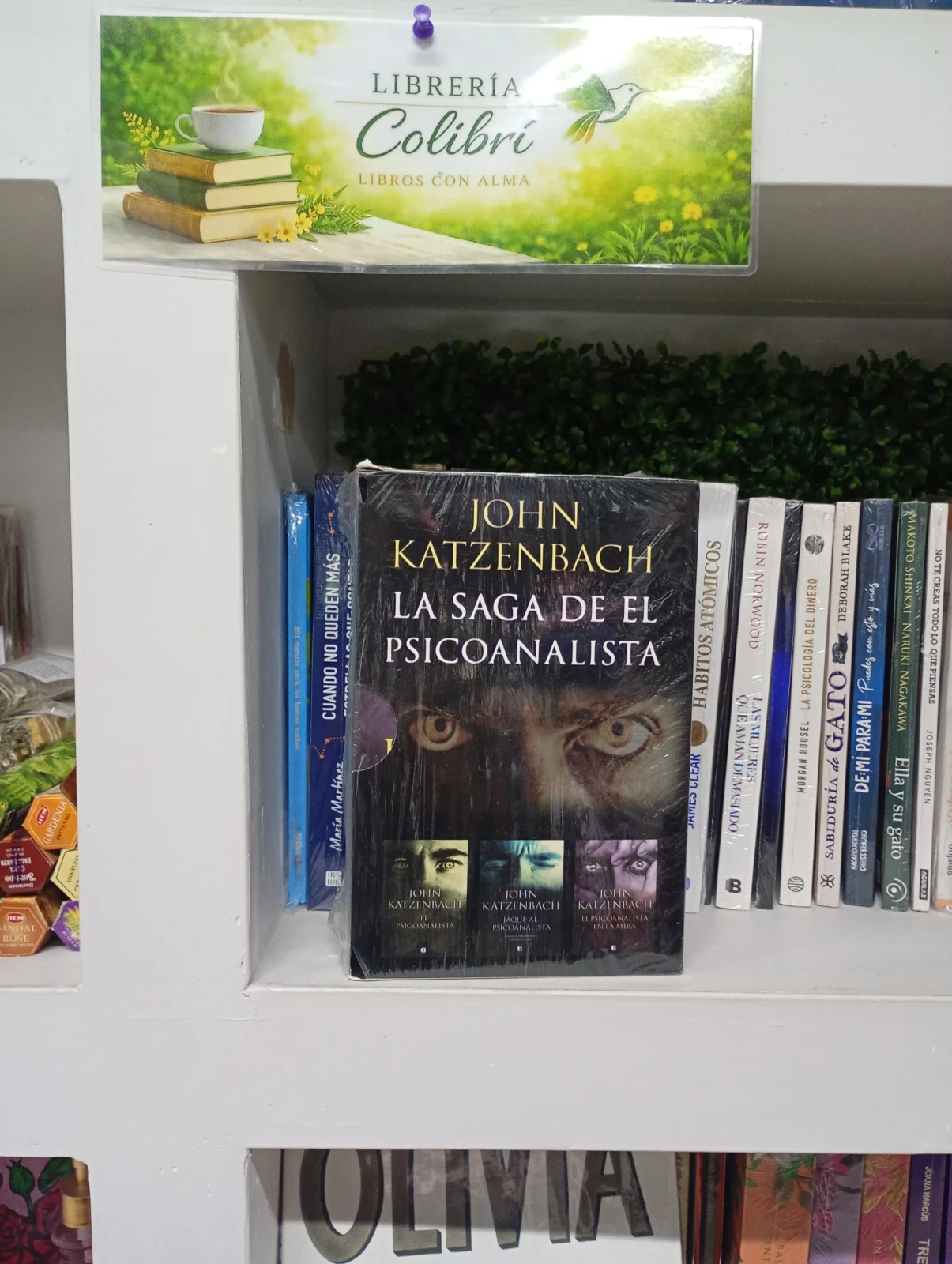 La saga de el Psicoanalista 