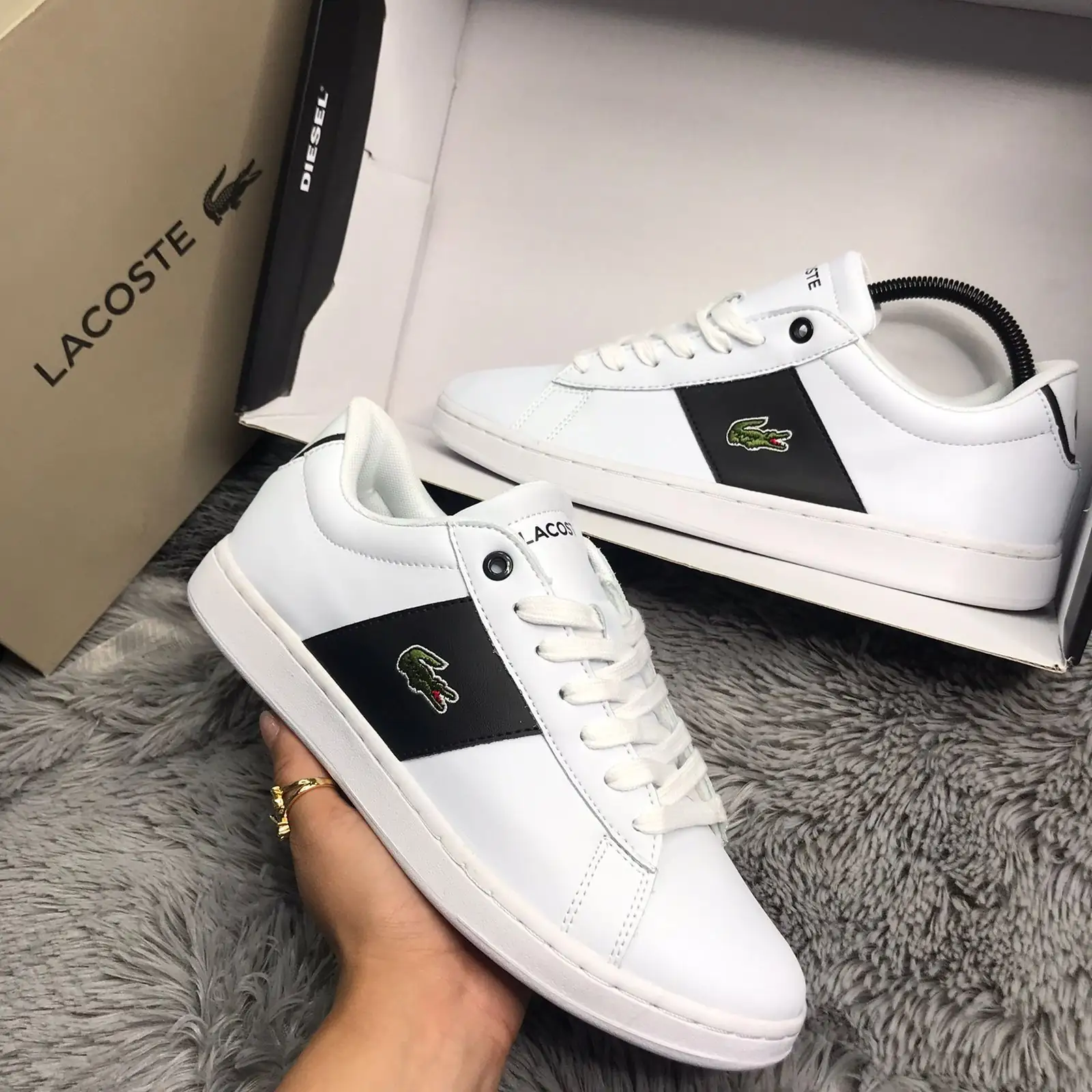 LACOSTE CLASICC