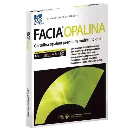 Hoja opalina paquete de 100  cartulina blanca 2