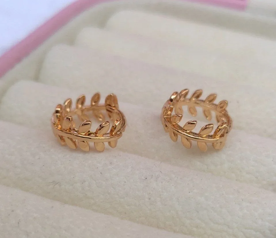Hoops espigas