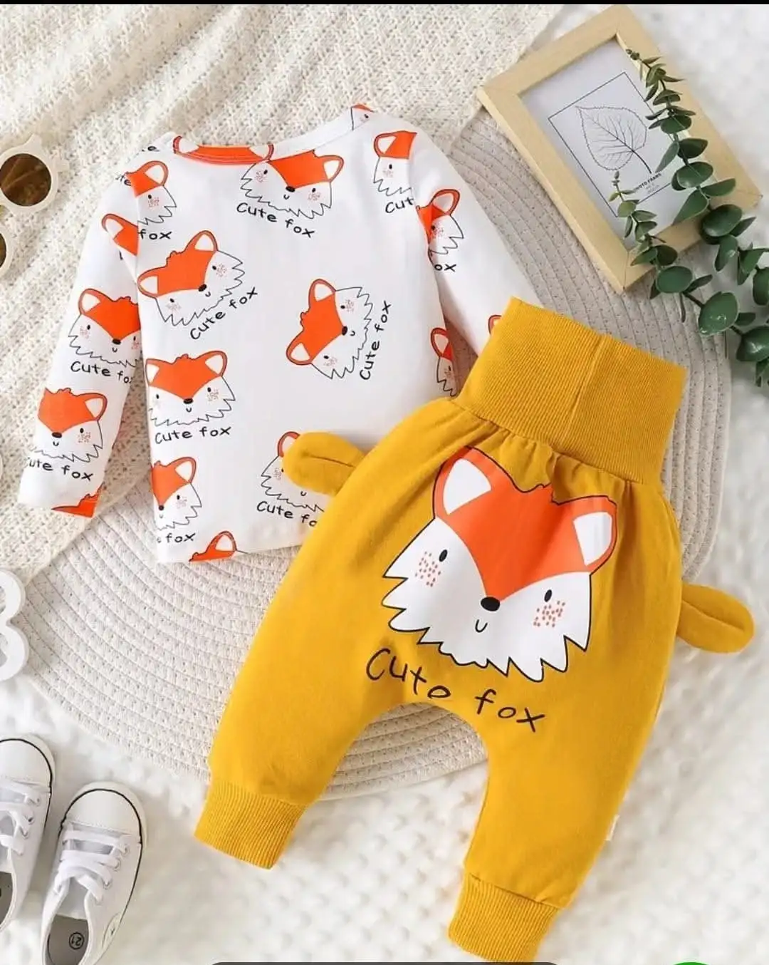 Cute fox