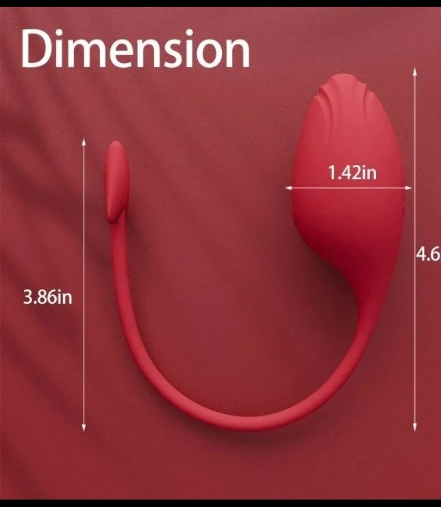 Huevo Vibrador SUCCUBUS Orgasmico 2