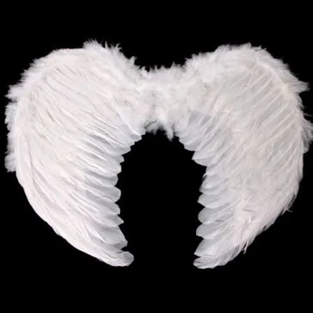 Alas de Angel premium