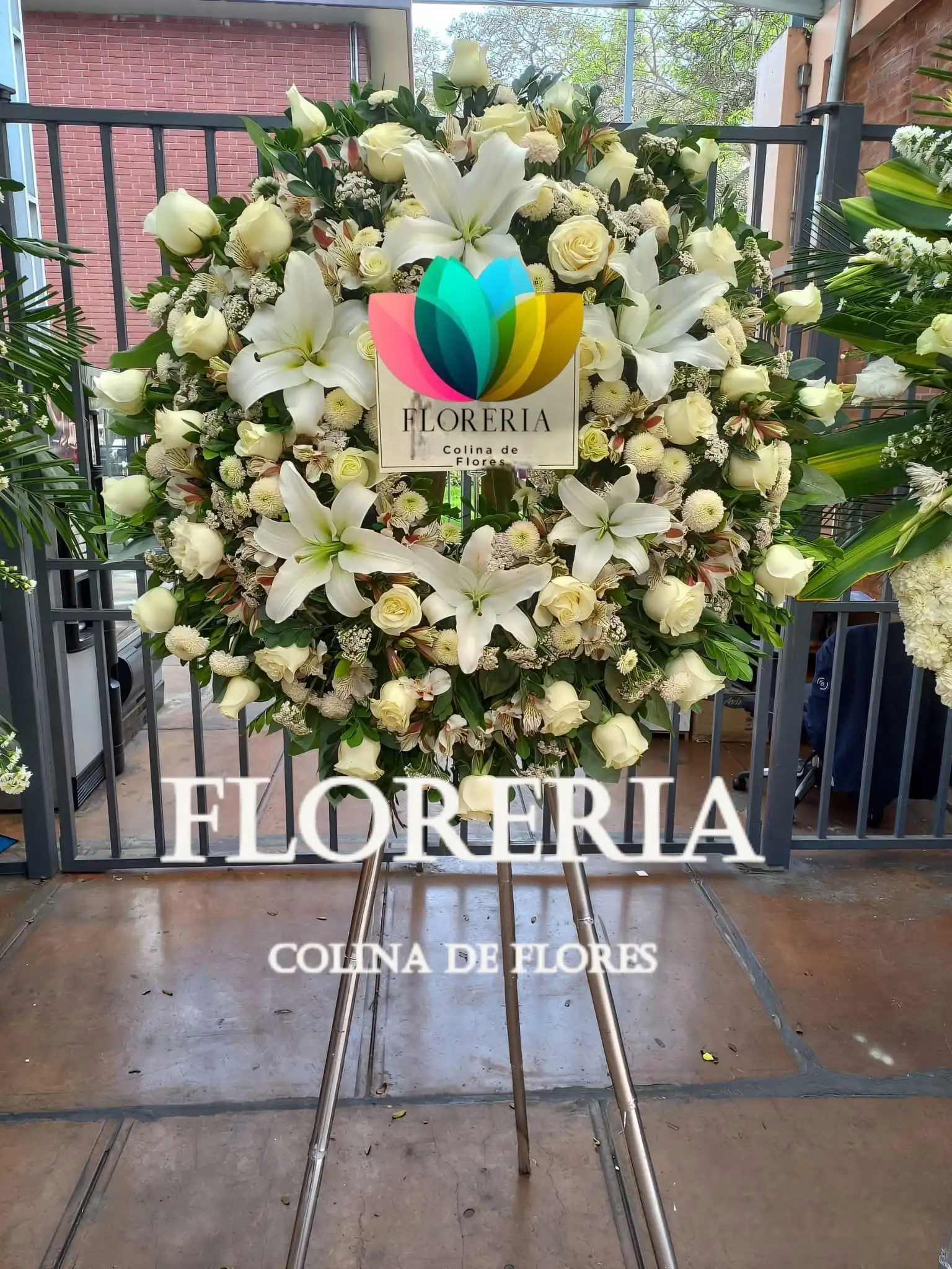 Corona Hombre y Dama