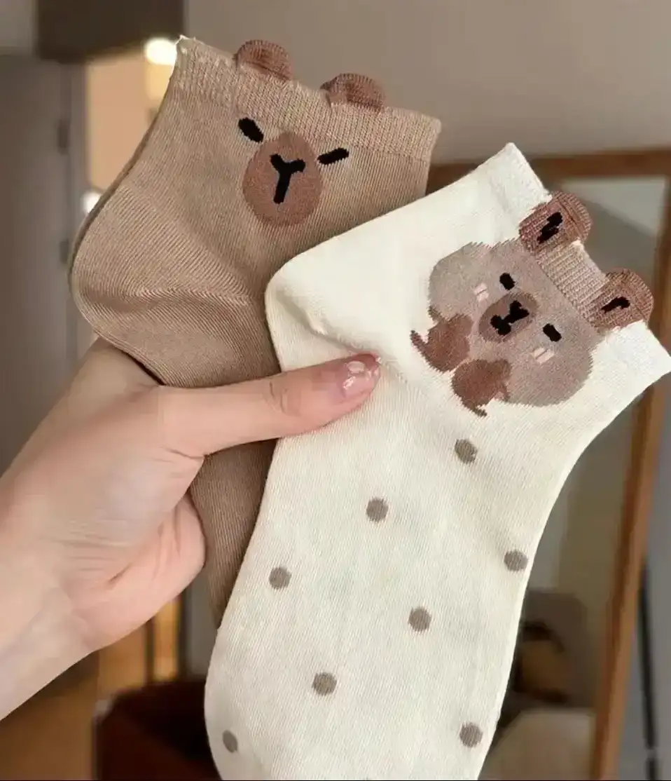 Medias de capibara 4
