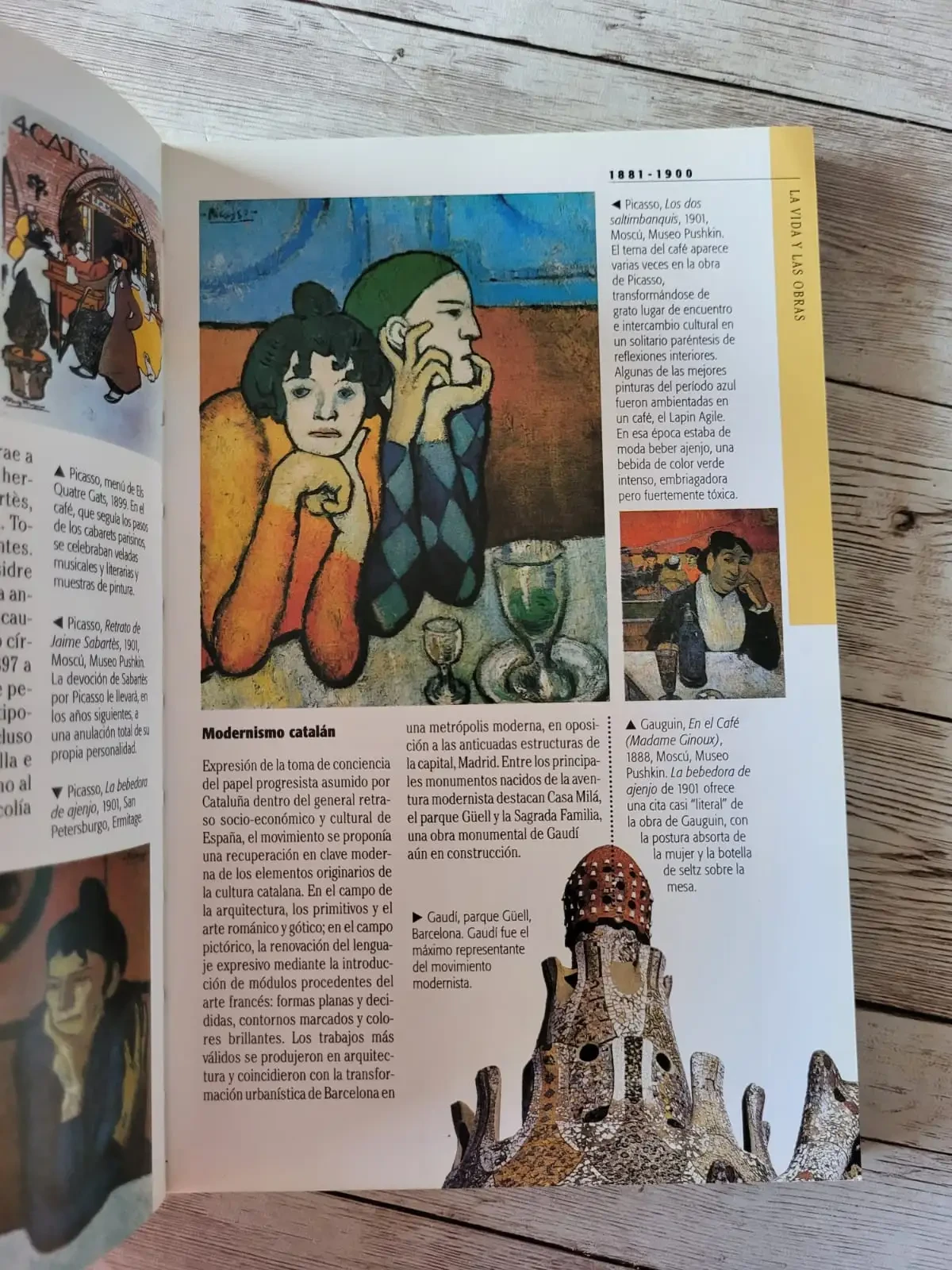 Picasso / Art Book /Arte 3