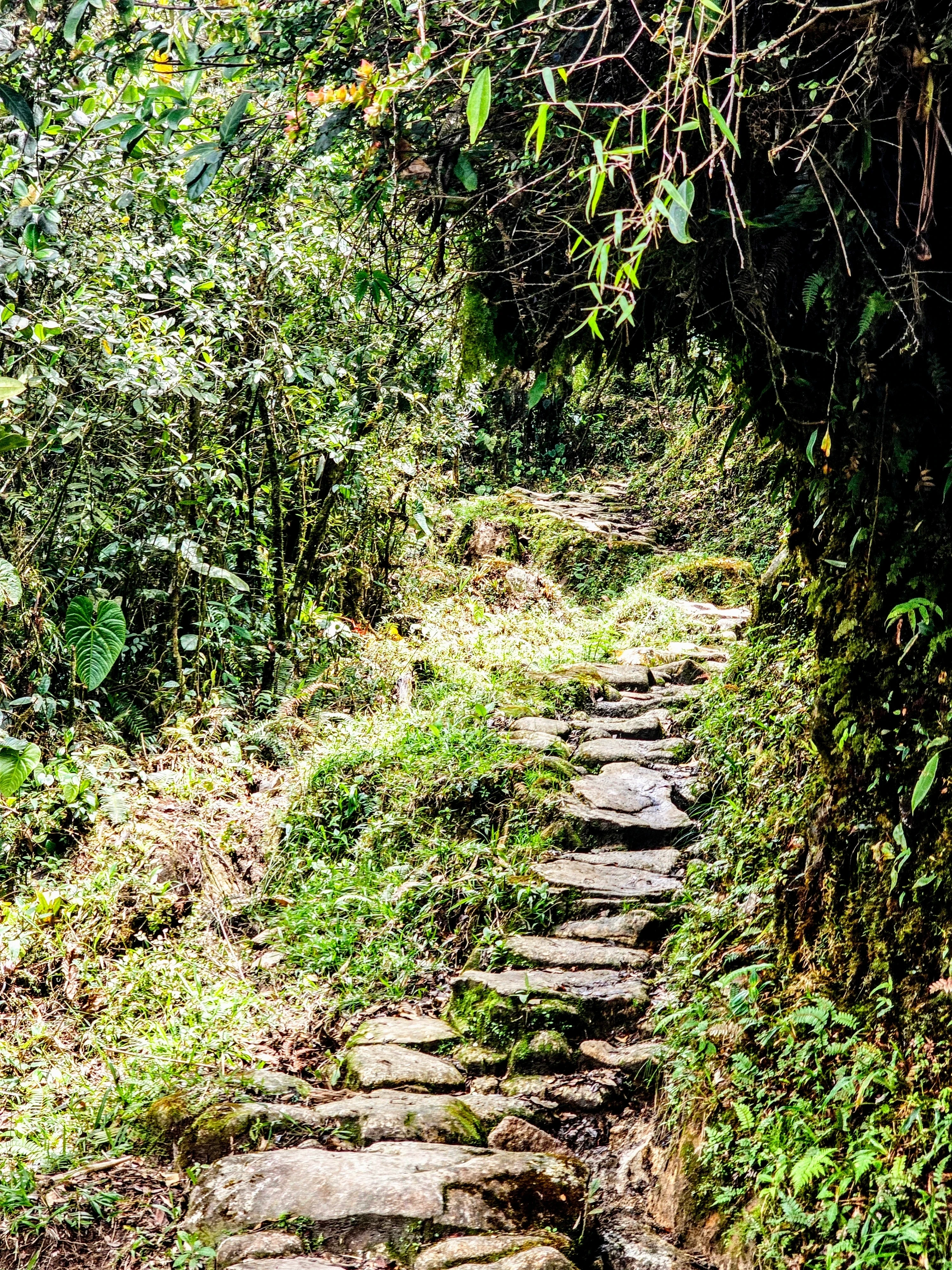 CAMINO DE LA ESPERANZA TRAVESÍA A SONSON ANTIOQUÍA 2