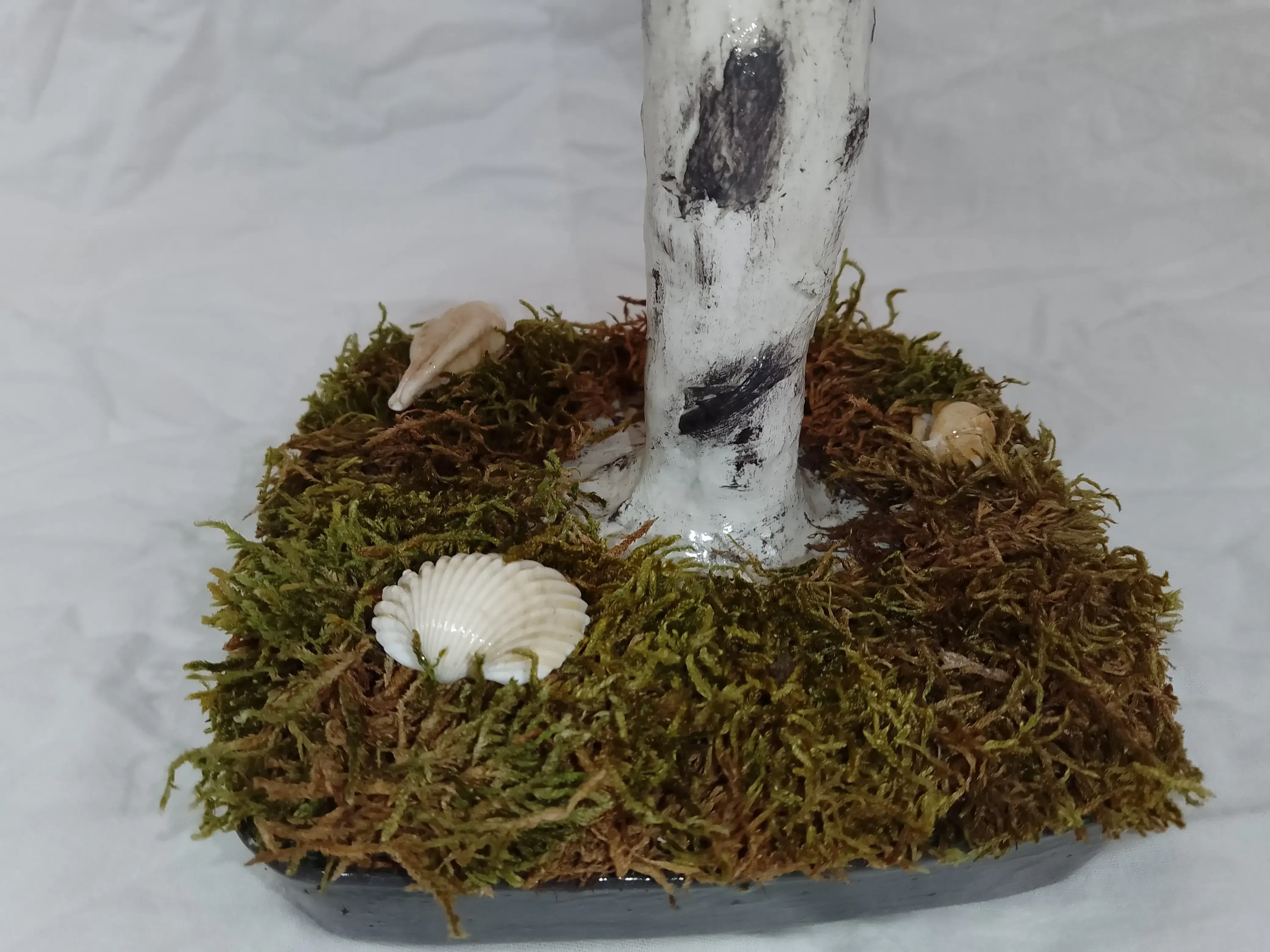 Àrbol Bonsai Margaritas Rojas 4
