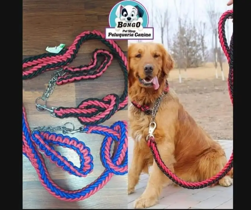COLLARES TRENZADOS 2