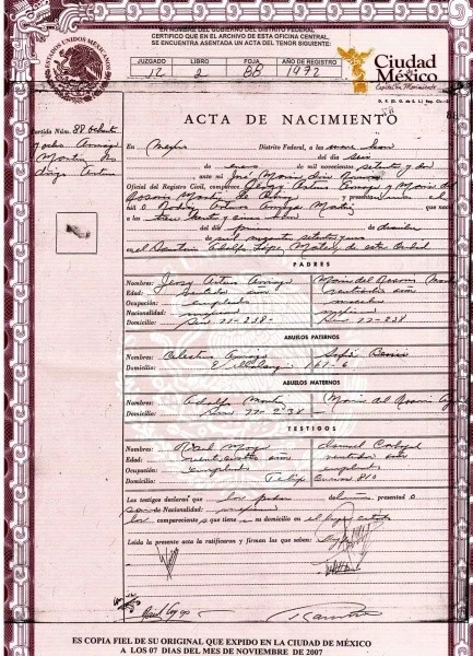 consulta acta de nacimiento  2