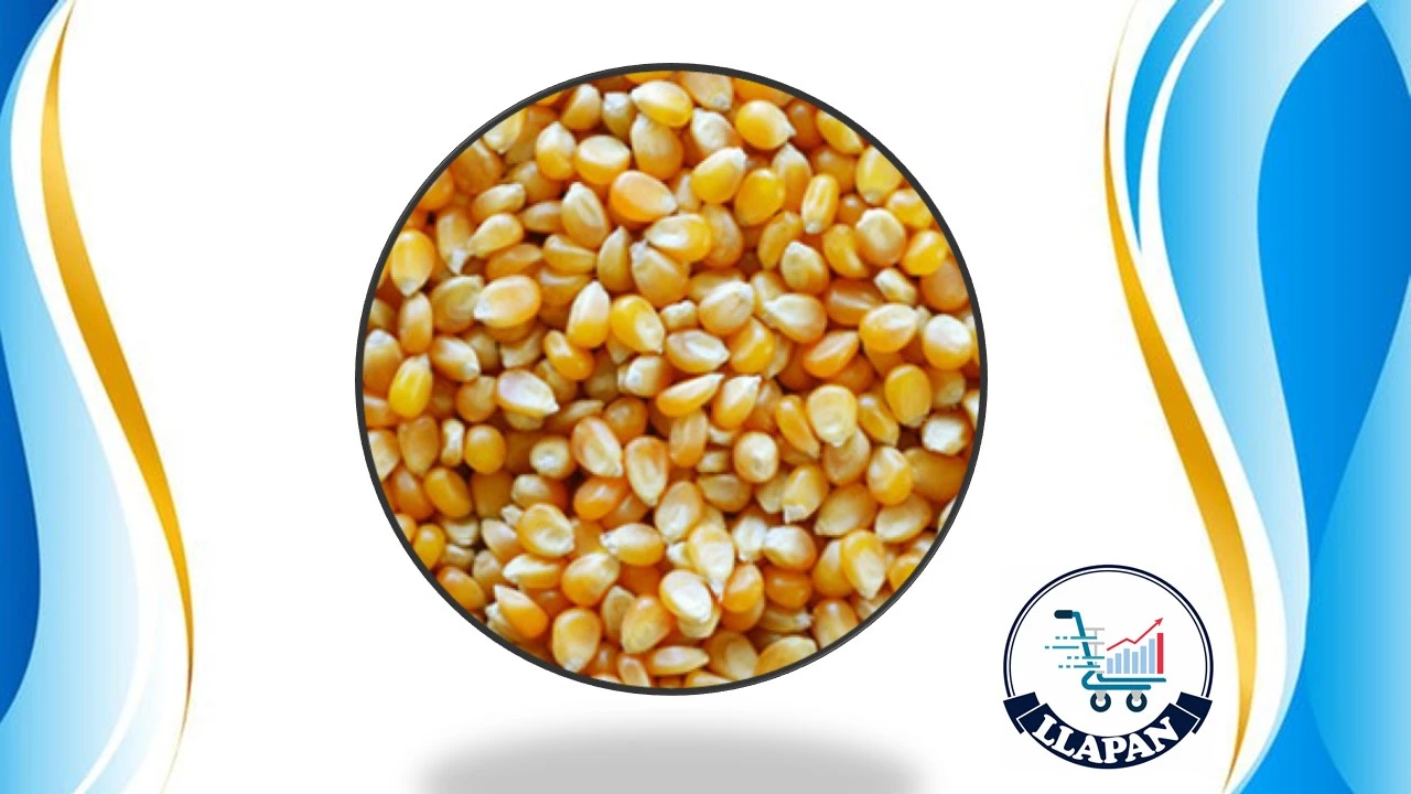MIAZ POP CORN