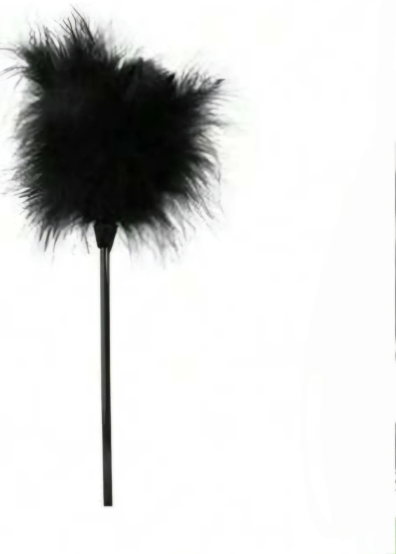 Pluma