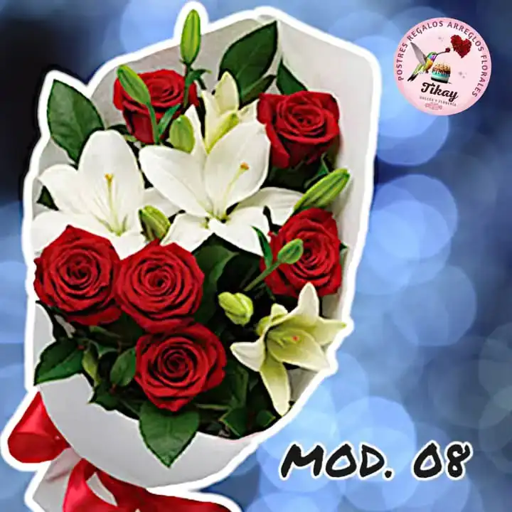 Mod. 08