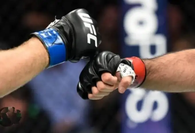 GUANTES MMA UFC  2