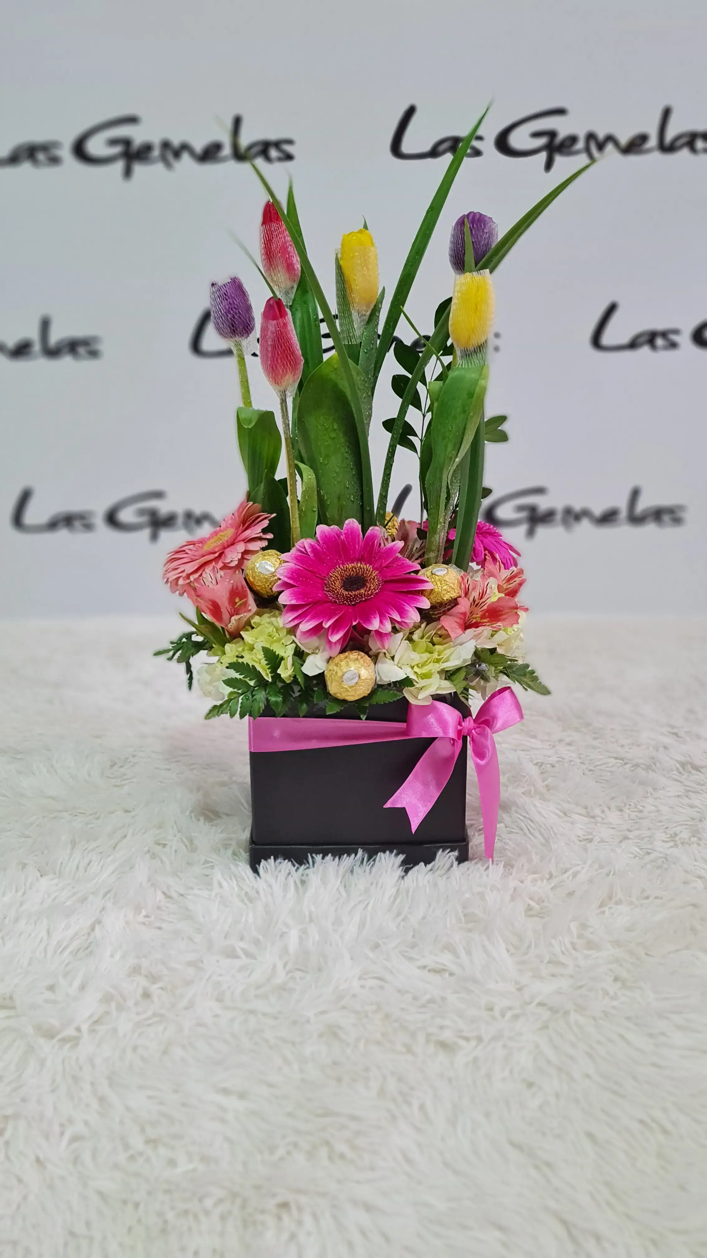 Box tulipanes color