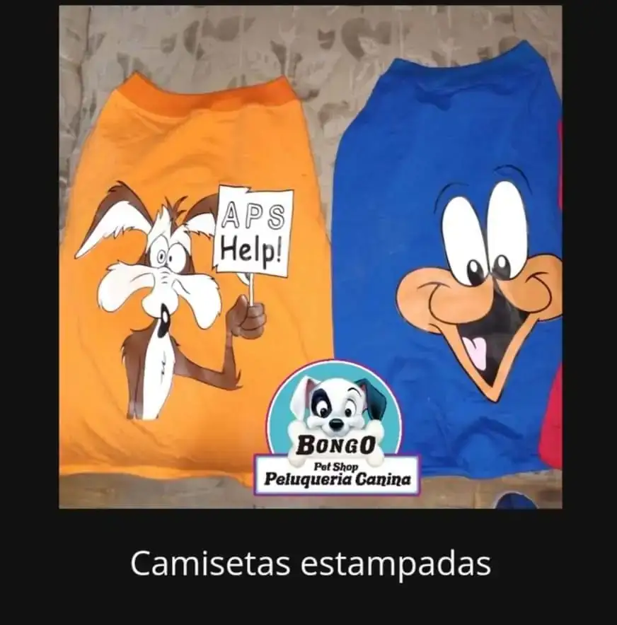 CAMISAS Y CAMISETAS