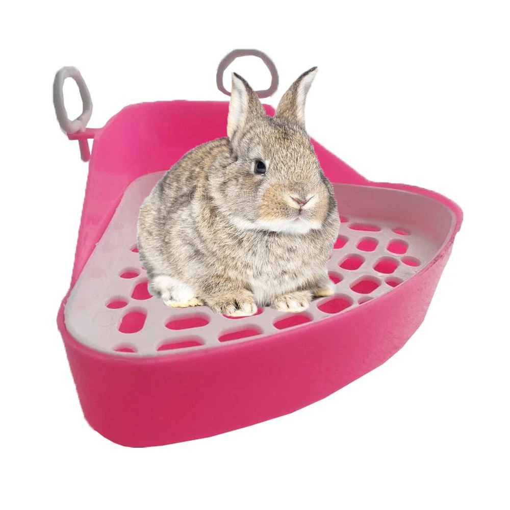 Baño Esquinero para Conejo Enano 23*15cm Bcp-01 2