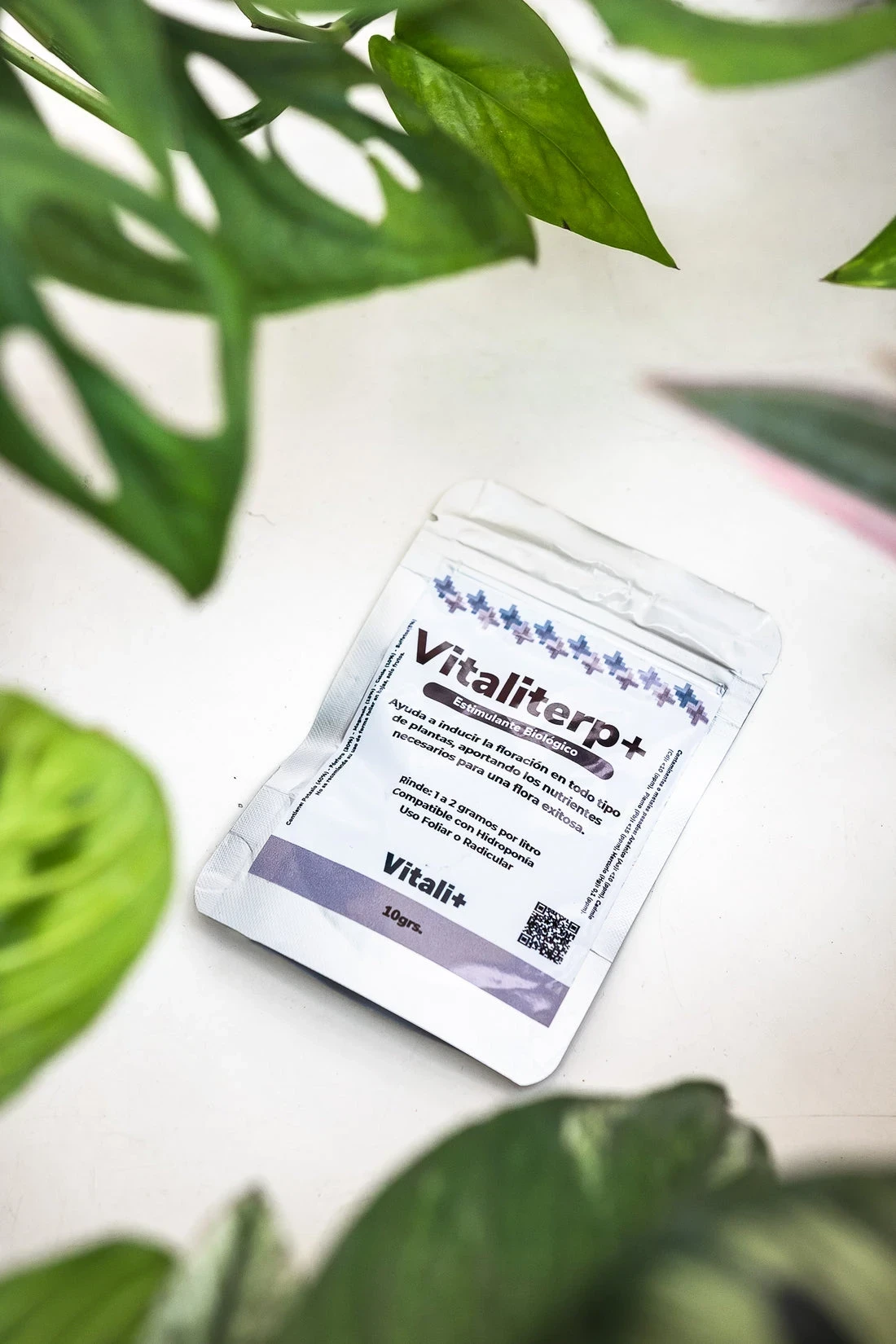 Vitaliterp+