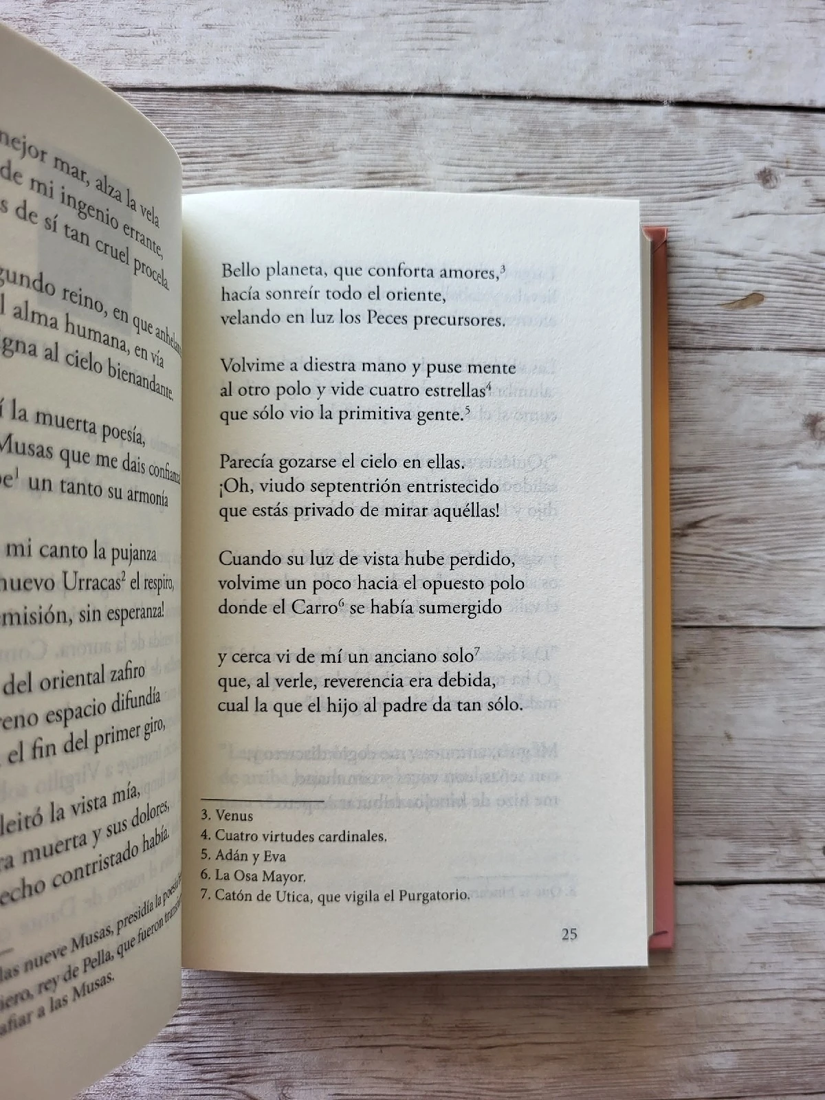 Divina Comedia Purgatorio / Dante Aliguieri / Clasicos 3