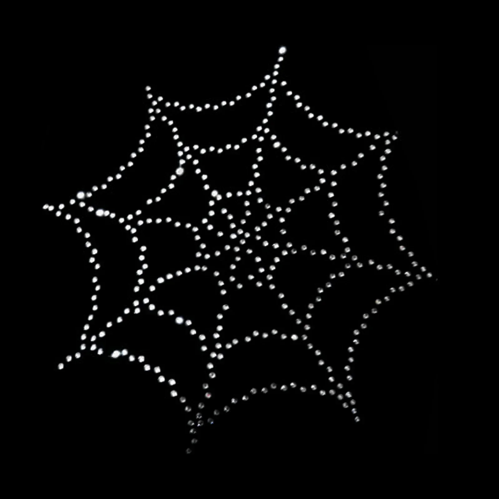 Sudadera de Araña en pedrería 3