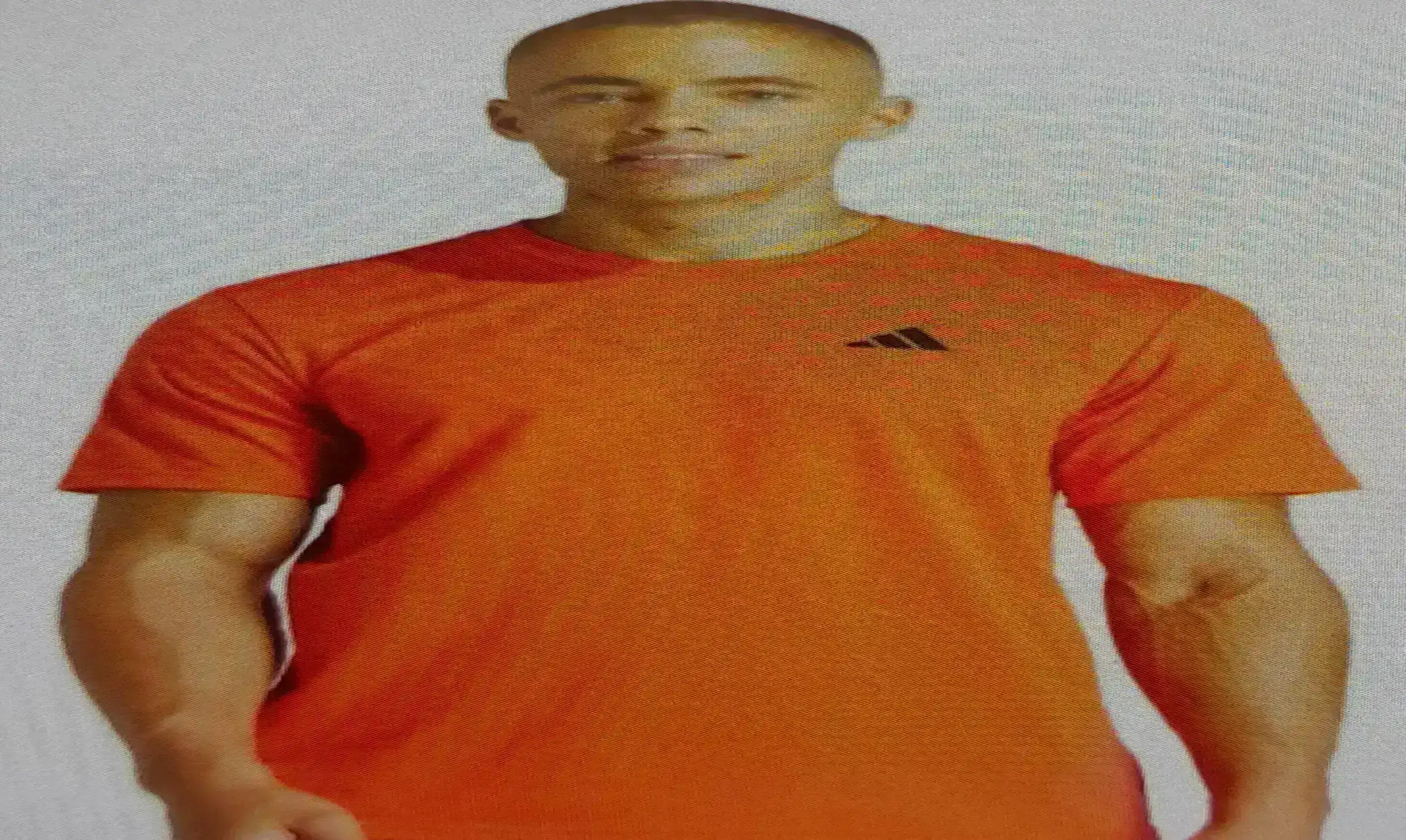 Camisa adidas aeronik
