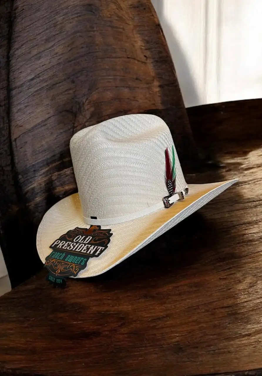 SOMBRERO PALMA HORMA VIEJON 2