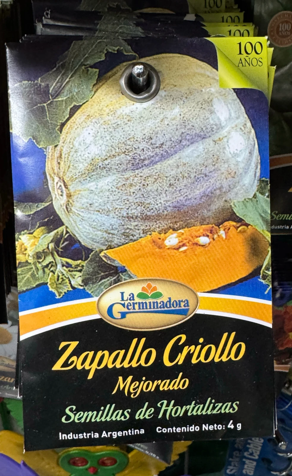 Zapallo criollo 