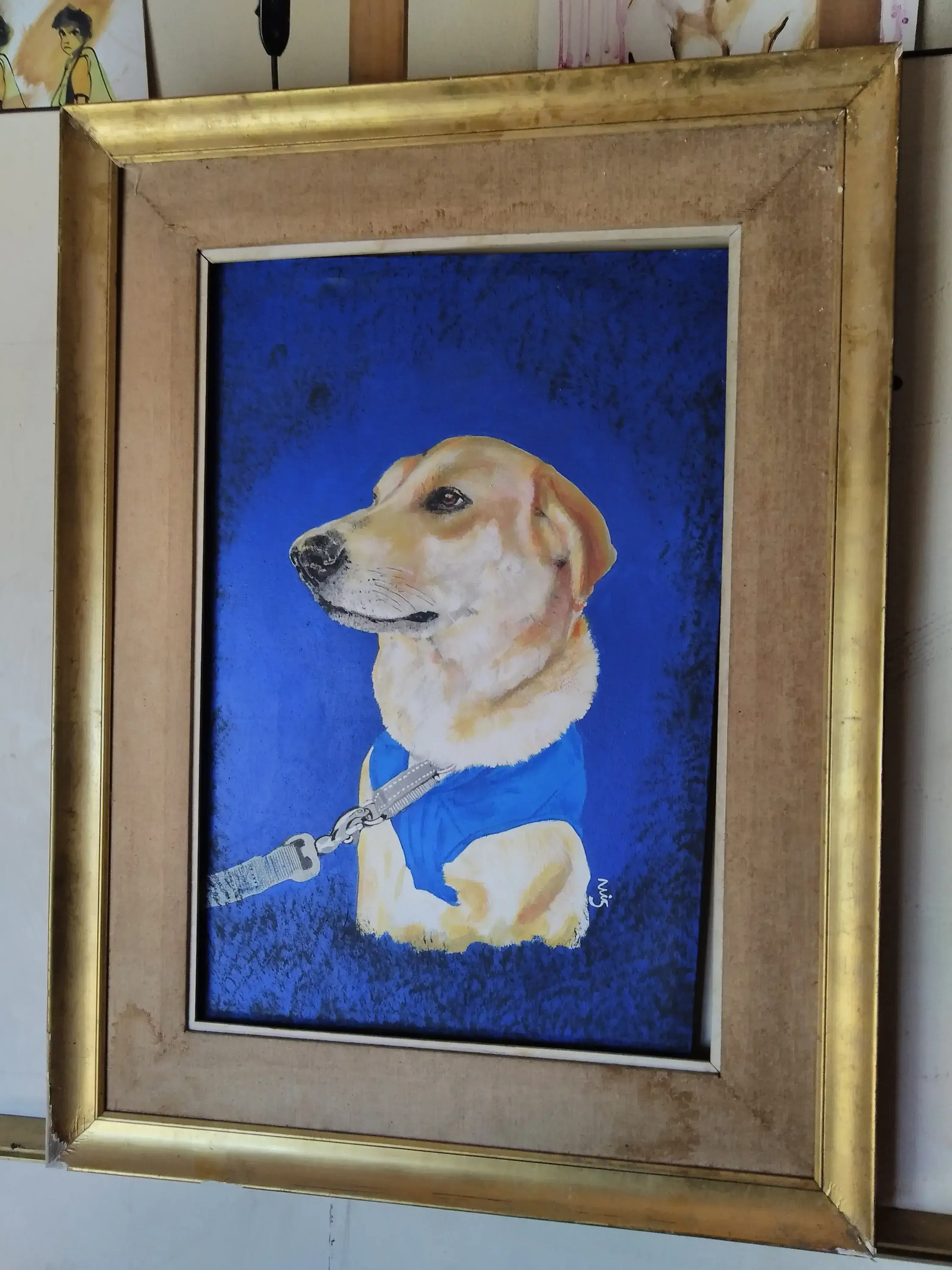 TU MASCOTA- envia foto y solicita presupuesto 2