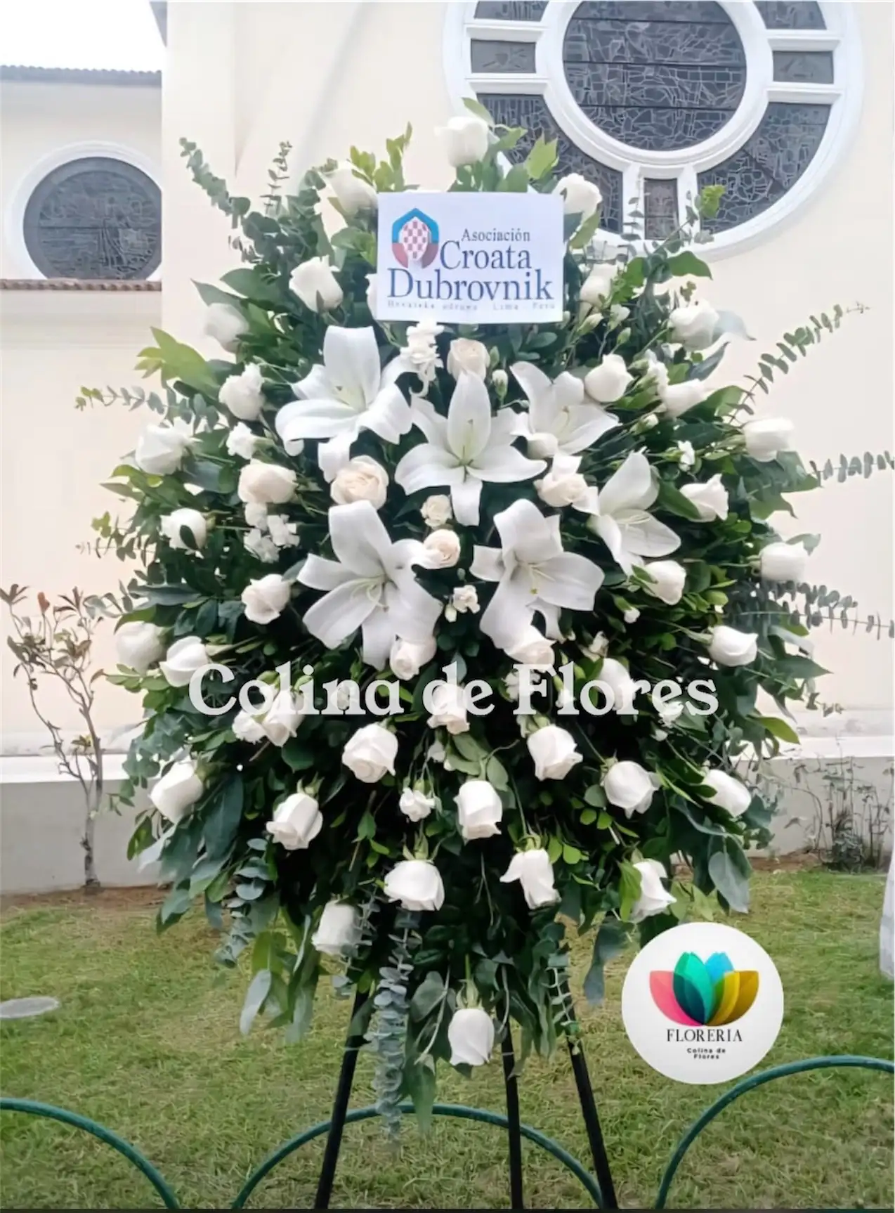 Tripo blanco