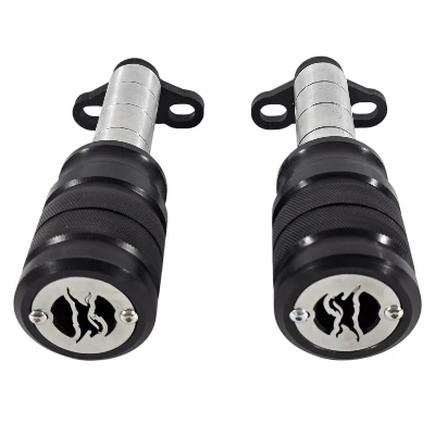 DF TVS RAIDER 125 Slider Defensa 24 cm x 6 cm (par) ML