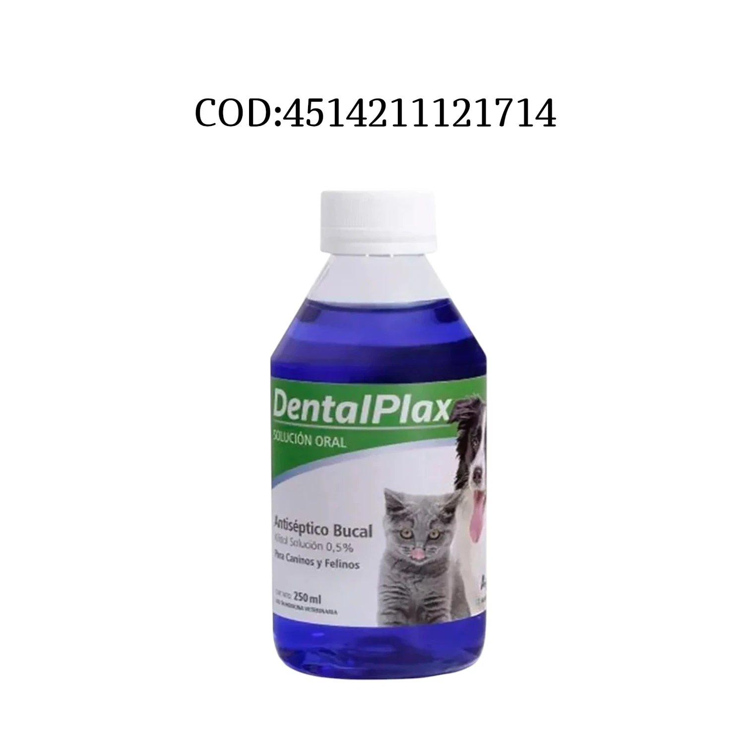Dental plax 