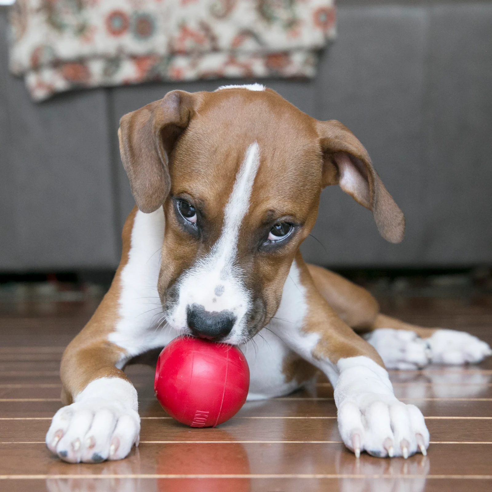 Kong Ball 2