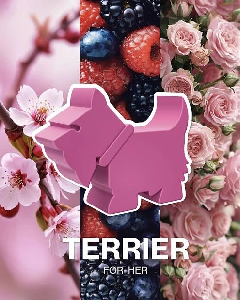 Terrier for her