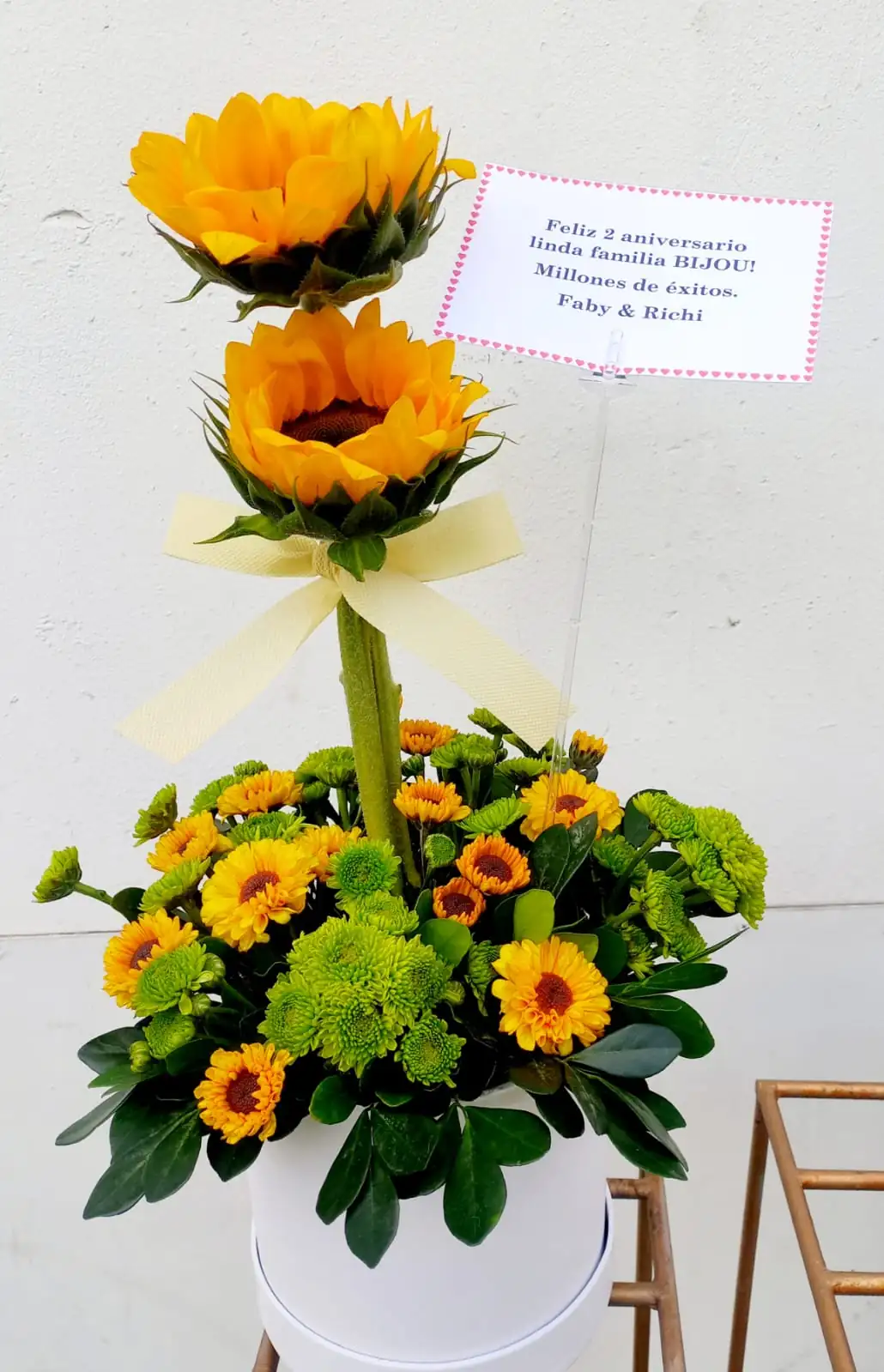 Box girasol 