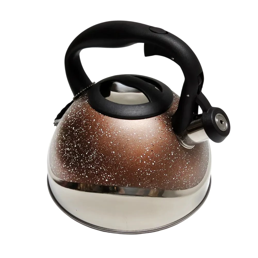 Caldera de Acero Inoxidable 2.8L