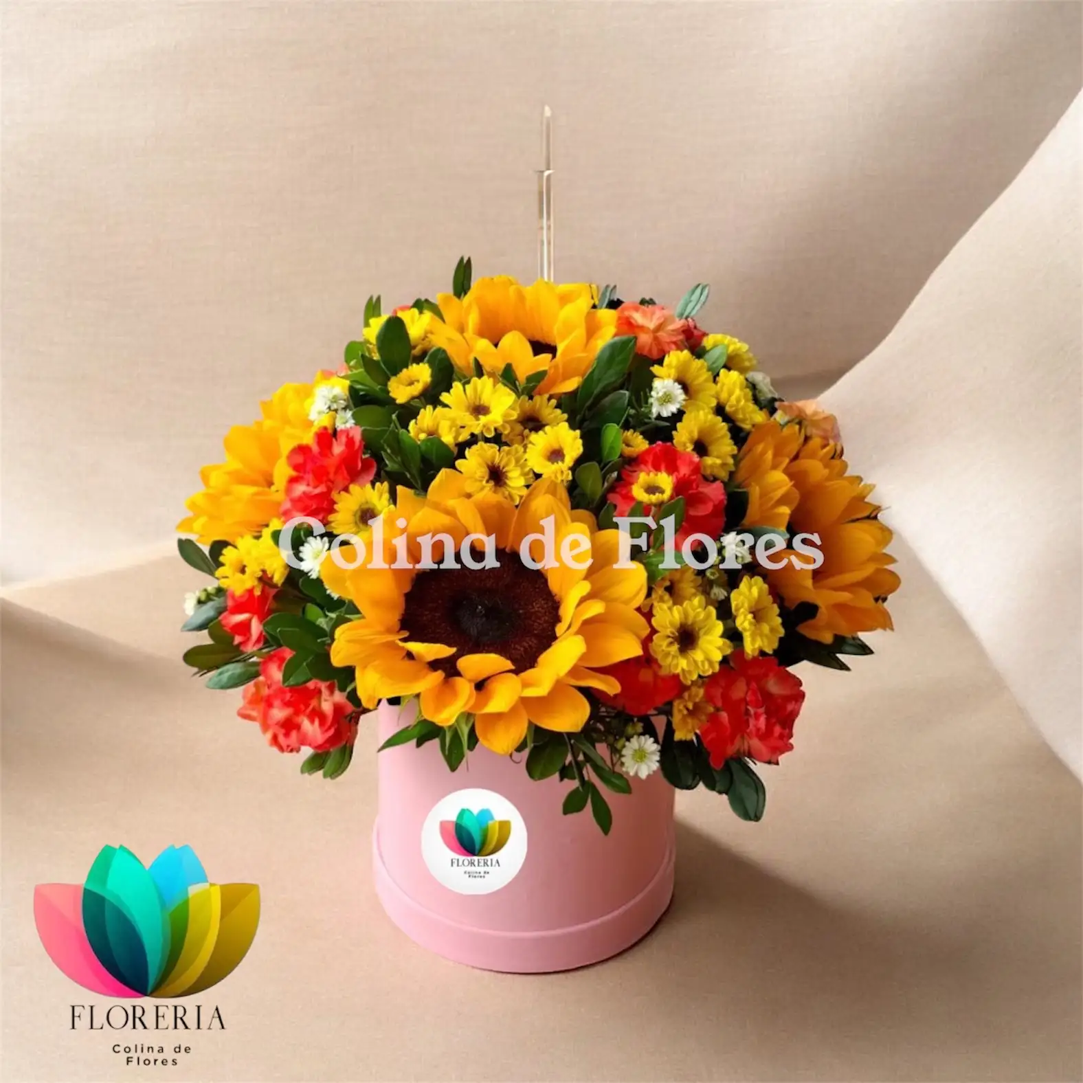 Box girasoles 